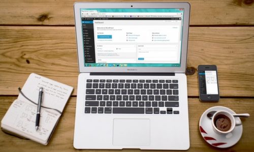 WordPress Theme Development
